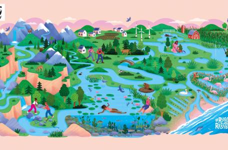Rivers to restore WWF Europa