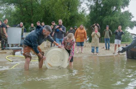 Steurenuitzet bij Woudrichem