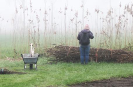 Medewerker van Stichting Broekbos op het perceel van ARK bezig met nieuwe aanplant