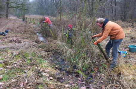 Jonge Rewilders aan het onthekken in KB