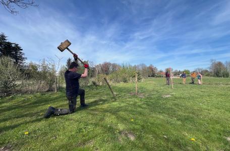 Plaatsen veebeschermend raster 