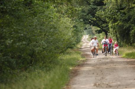 Fietsers. Foto: Bob Luijks