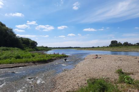 Genieten van de natuur in de Grensmaas (foto Hettie Meertens / ARK)
