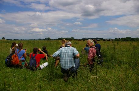 Cursus natuurlijke begrazing