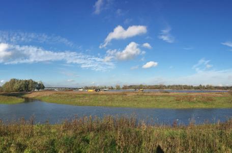 Geulen op Ewijkse Plaat