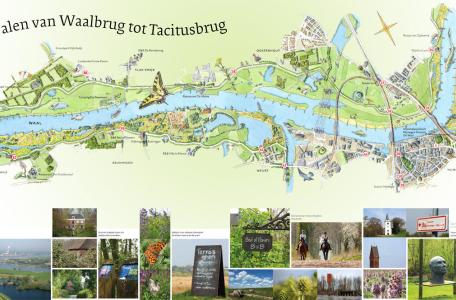 Dwalen langs de Waal