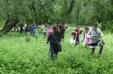 Eiland van Brienenoord