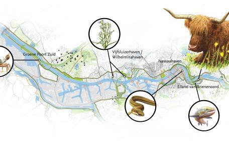 Struintocht Getijdenpark