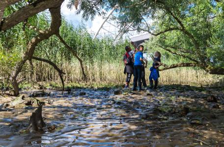 Eiland van Brienenoord. Foto: Etienne Ooldeman