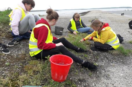 Delta Talent bij de Noordzee