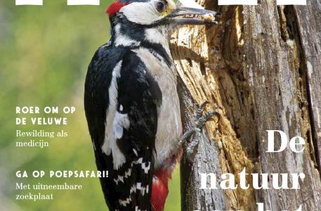 ARK Jaarmagazine 2020