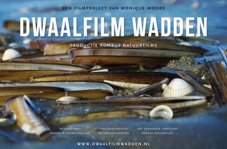 Filmposter Dwaalfilm Wadden
