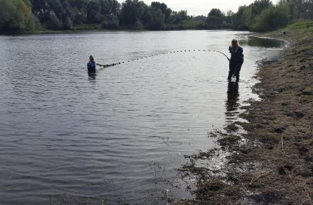Visonderzoek in de Oude Waal bij Nijmegen
