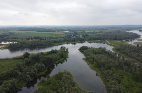 Zicht op de Millingerwaard bij Nijmegen. Foto: Niels Blankestijn