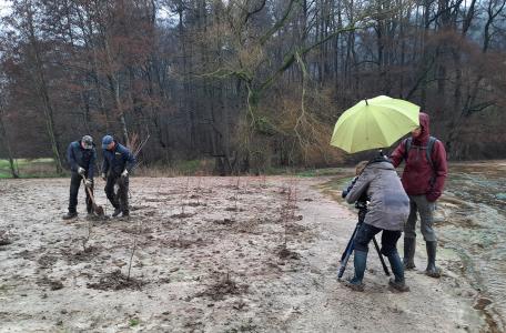 Rombus Natuurfilms in actie in het Geuldal