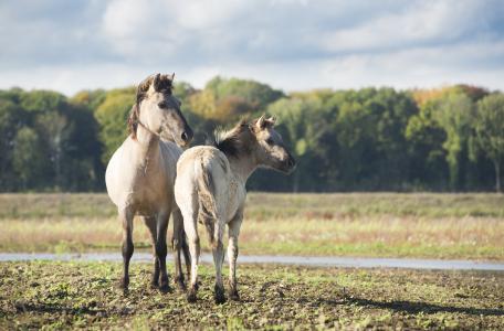 Ga mee op struintocht in coronatijd!
