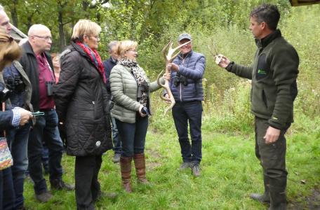 Bronstexcursie edelherten Groene Woud