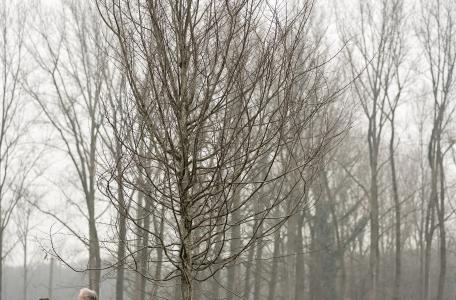 ARK en Trees for All plantten samen met de bedrijfsdonateurs van Trees for All de 100.000ste nieuwe boom – een grote haagbeuk – in Savendonk/De Geelders. Foto: Gabby Louwhoff