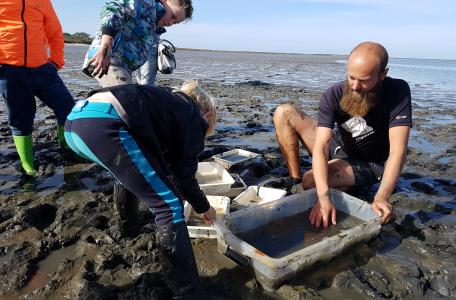 Korexcursie aan het Haringvliet tijdens Brakke Zaterdag