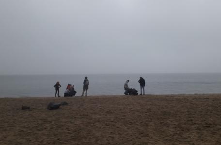 Veldles aan het Haringvliet