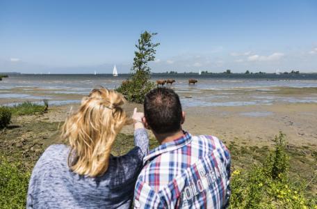 In de natuur bij het Haringvliet, foto: Natuurmonumenten