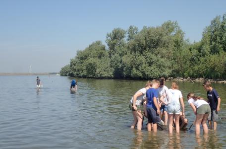 Natuuravontuur Haringvliet Quackstrand