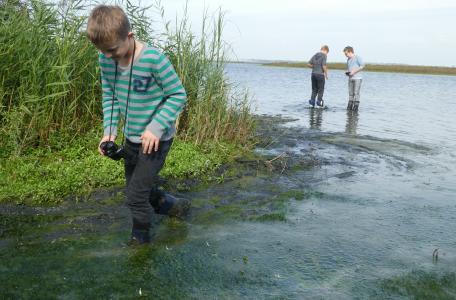 Veldles bij het Haringvliet. Foto: Paul Grootenboer