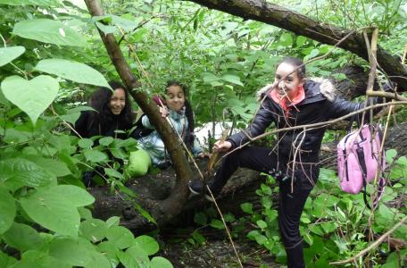 Veldles Eiland van Brienenoord
