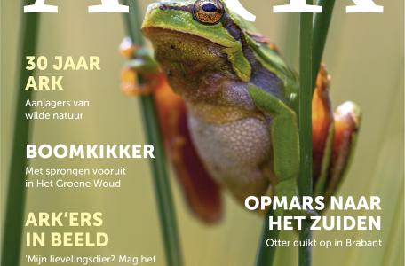 ARK Jaarverslag 2019