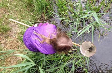 Klimaatbuffer IJsselmonde