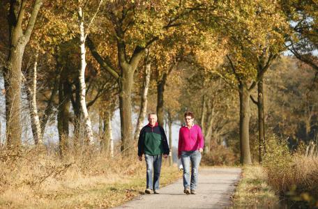 Wandelen op de Stramprooierheide. Foto: Bob Luijks