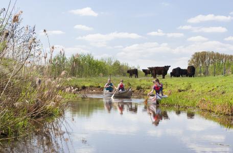 Kanoën Tungelroysebeek