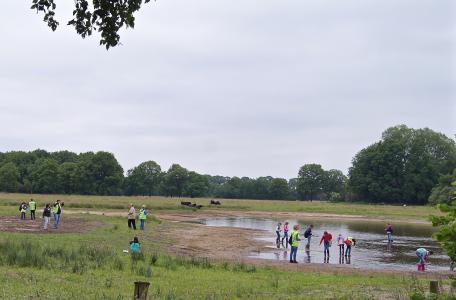 Veldles in het Kempen~Broek. Foto: Theo van der Heijden