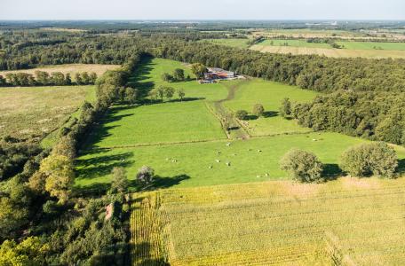 Wijffelterbroek - Foto: Erwin Christis