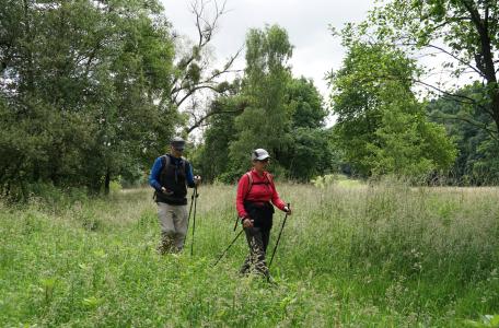 Geocachers in het Kempen~Broek