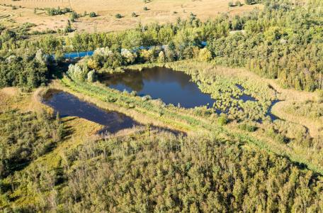 Kruispeel, foto: Erwin Christis