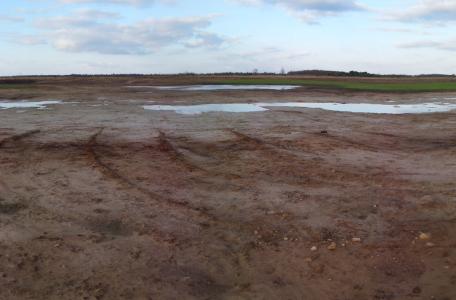Blootgelegd Loozerheide 2014