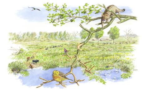 Toekomstbeeld Siendonk