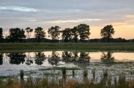 Je ziet een bosomgeving met bomen en water waarin de bomen weerkaatst worden. De zon gaat onder. 