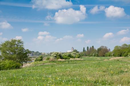 De Kleine Willemswaard (foto Rebecca Reurslag)