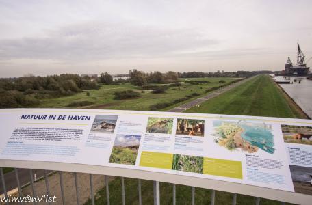 Uitkijktoren Landtong Rozenburg, foto Wim van Vliet