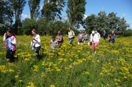 Excursie Landtong Rozenburg