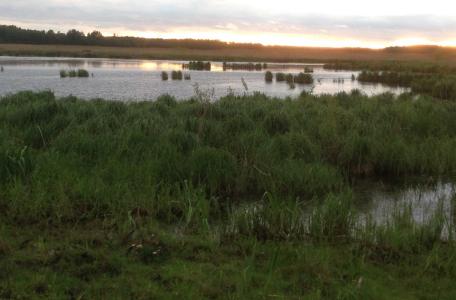 Zonsondergang langs de Dviete. Foto: Lex van Drongelen