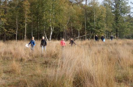 Veldles op de Maashorst