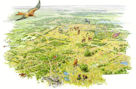 Toekomstbeeld Maashorst