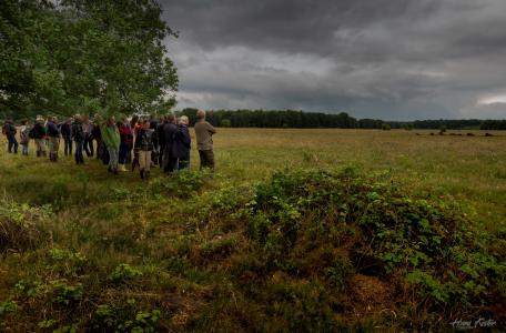 Open dag wisentgebied. Foto: Hans Koster, HKNatuurfotografie