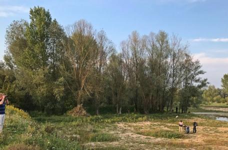 BuitenGewoon in de Millingerwaard, foto: Gert Visser