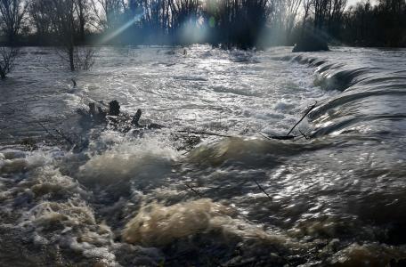 Hoogwater Millingerwaard, december 2017