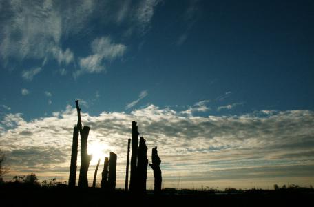 Bomenmonument Millingerwaard