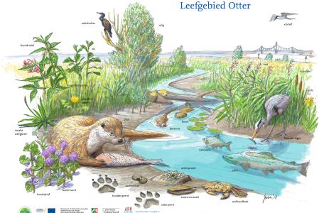 Zoekkaart Leefgebied Otter